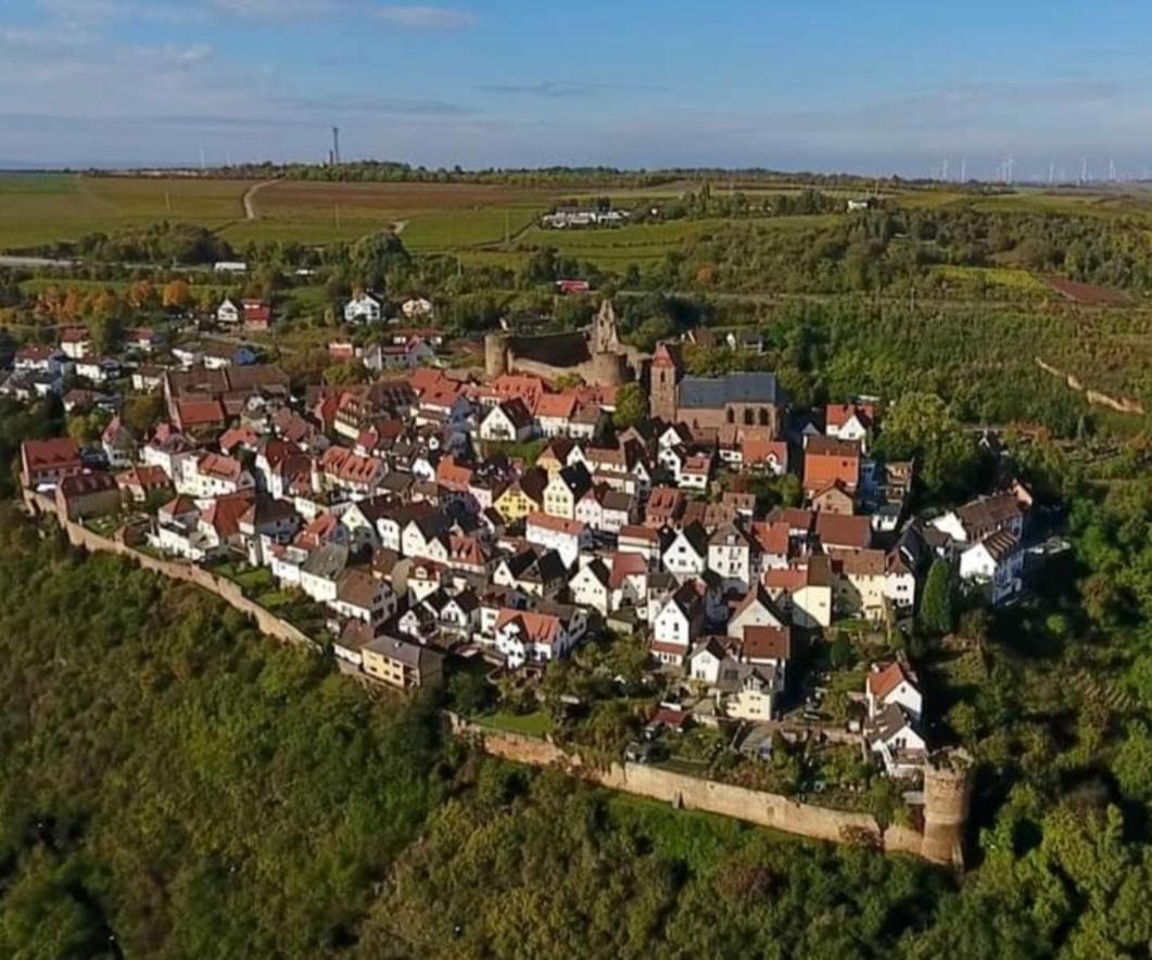 فندق Landgasthaus "Zum Engel" Neuleiningen المظهر الخارجي الصورة